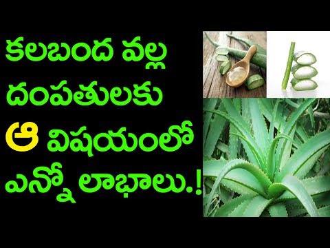 Natural Tips and Health Benefits of Aloe vera Juice in Telugu | Friday Poster