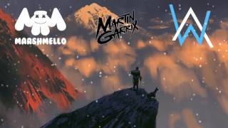 martin garrix alan walker