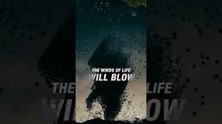 All Hype