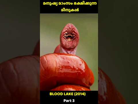 മീനുകൾ മനുഷ്യനെ തിന്നാലോ? BLOOD LAKE Part 3 | #mem #shorts #shortsfeed #movies
