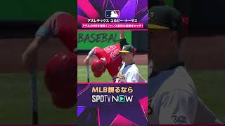 【アスレチックス・トーマス】 アデルのHRを強奪🔥 フェンス激突の超絶キャッチ2026年MLB観るなら#SPOTVNOW #shorts
