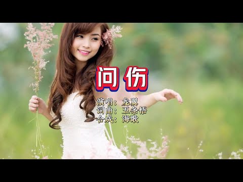 问伤-龙翼-伴奏 KARAOKE