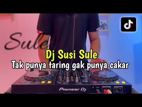 DJ TAK PUNYA TARING GAK PUNYA CAKAR - SUSI SULE VIRAL FULL BASS