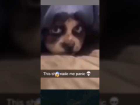perro o skinwalker?? #viral #fypシ #parati #skinwalkers #casosmisteriosos #paranormal #misterio
