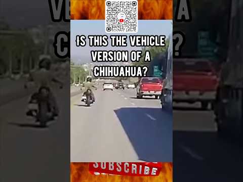 Semi gets bullied by a motorcycle🤣😂🤣￼