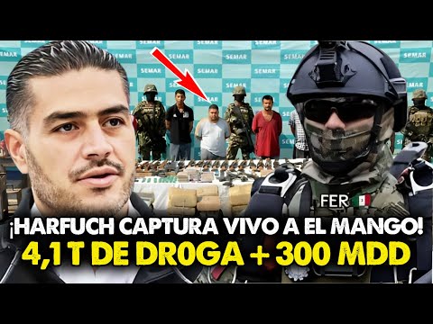 Harfuch y SEDENA capturan vivo a El Mango, incautan 300M y 4 1 toneladas de metanfetamina