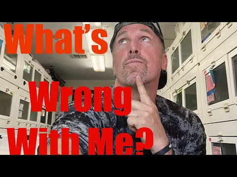 What’s Wrong With Me? Why Caring For Animals Hurts!