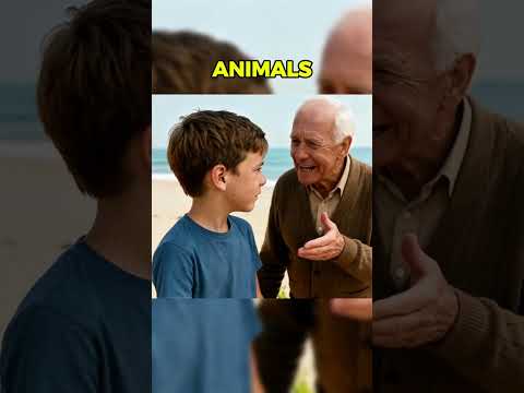 No One Wanted to Help Baby Shark... #pug #puppystory #cat #kitten