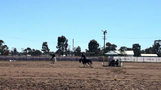 PCD Destiny Rollz & Cameron Dunlop.  2026 Plainsman Classic Challenge Round 1 Dry Work