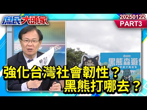 強化台灣社會韌性？強震重創嘉南 滿嘴民防自救…黑熊打哪去？《庶民大頭家》PART 3 20250122 #鄭麗文 #林郁方 #洪孟楷 #張啓楷@庶民大頭家