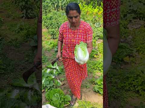 เดตเดฟเตฝเดเตเดเดพเดจเดฒเตเดฒ, เดฎเดเตเดเตพเดเตเดเต เดเตเดเตเดเตเดเดพเตป เดตเตเดฃเตเดเดฟเดฏเตเดณเตเดณ เด
เดฎเตเดฎ เดธเตเดชเตเดทเตเดฏเตฝ เดเตเดทเดฟ ๐'