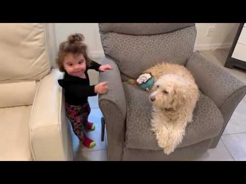 Dog And Baby Bond! When Grandma's Away... Mayte And Teddy Will Play! | Perez Hilton