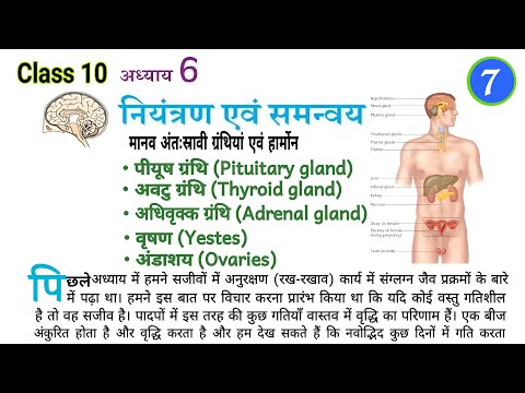 नियंत्रण एवं समन्वय || control and coordination class 10 || niyantran evam samanvay class 10th VOL-7