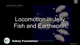 Locomotion in Jelly Fish and Earthworm
