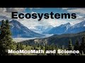Understanding Ecosystems
