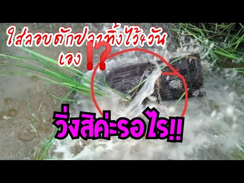 เจอแบบนี้วิ่งเลย"4วันเองเจอเหตุการณ์นี้"