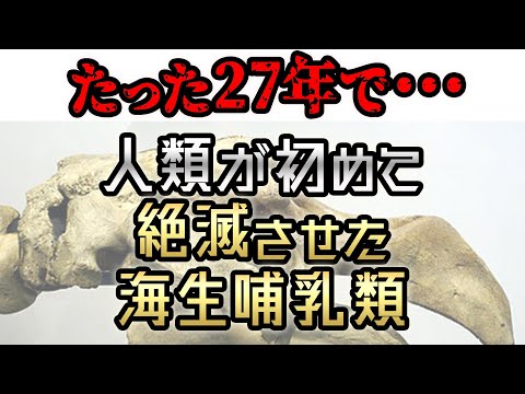 【たった27年】爆速！人類が初めて絶滅させた海生哺乳類が悲しすぎる #shorts   豆知識 ステラーカイギュウ