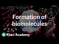 Understanding Organisms and Energy