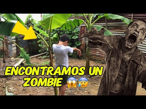 Descubrimos un zombie 😰! (INCREÍBLE)