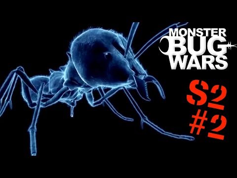 One of the top publications of @MonsterBugWarsTV which has 258 likes and 33 comments