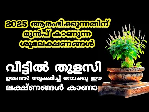 2025 ആരംഭിക്കുന്നതിന് മുൻപ് കാണുന്ന ശുഭലക്ഷണങ്ങൾ. 2025 new year