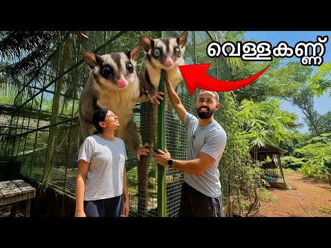 🔥“Aviary Update” എന്നാലും ഇത് എങ്ങനെ ?? | Backyard Forest