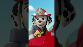 Marshall stops a forest fire! 🔥 #shorts