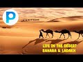 Deserts and Their Characteristics