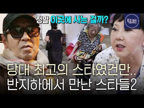 [스페셜] 반지하에서 만난 스타들의 근황 모음 2탄