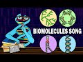 Exploring the World of Biomolecules