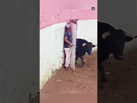 দরজা খোলার জন্য লাখ টাকা সেলারি😮 #shorts