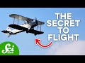 The Evolution of Flight and the Wright Brothers' Contributions