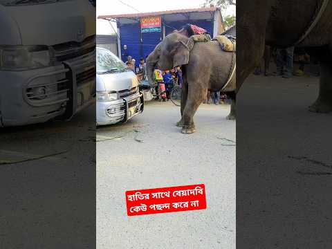 হাতির সাথে বেয়াদবি #funny #comedy #viralvideo #shortsvideo #trending #video