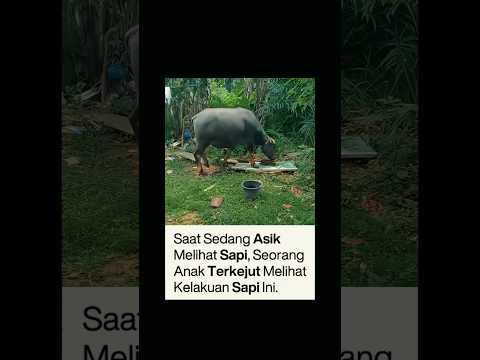 lagu : @MighfarSuganda - cipher naught | semenjak itu dia menghilang..