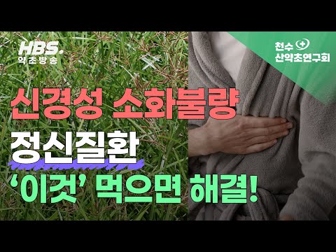 신경성 소화불량 정신질환 '이것' 먹으면 해결