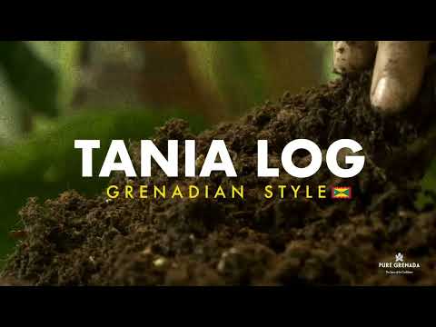 Tania Log - Grenadian Style
