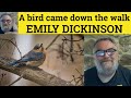 Themes and Imagery in Dickinson's Poetry