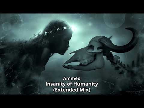 Ammeo - Insanity of Humanity (Extended Mix)