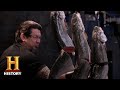 Forged in Fire Competition Insights