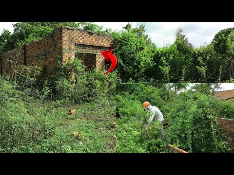 FULL VIDEO :Shocking Cleanup Brothers Brave Dangers of an Abandoned House Clean & Mowing / Clean up