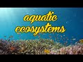 Aquatic Ecosystems and Their Features