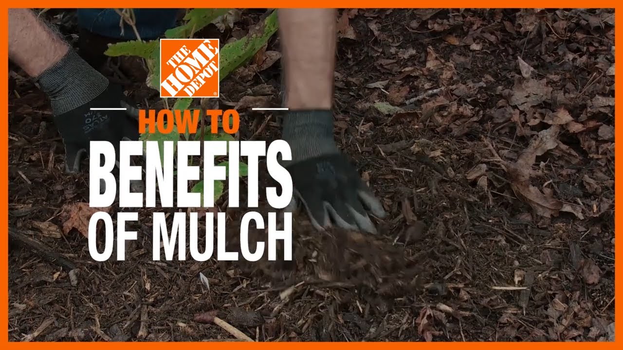 Benefits of Mulch