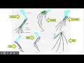 Exploring Homologous Structures in Evolution