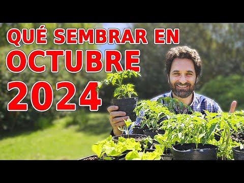 Calendario de Siembra 2024: Que sembrar en OCTUBRE en el Huerto de Otoño y de Primavera