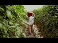 Exploitation in the Food System