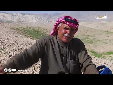 أهالي قرية العوسج شمال أريحا في حالة صمود ومواجهة للتصدي لمخططات الاستيطان والتهجير