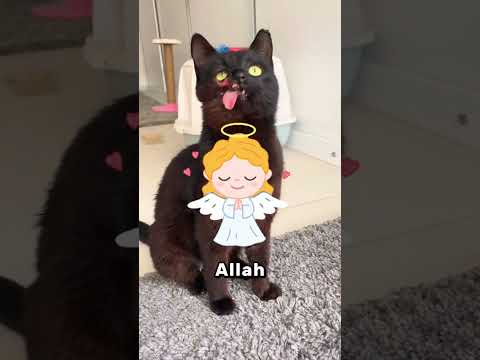 Bu Dev Kırkayağı Görürsen, Uzak Dur! 😱🐛