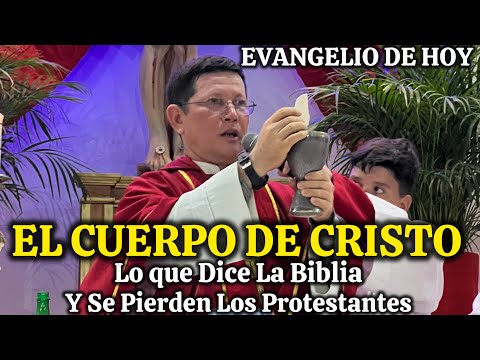 Padre Luis Toro En El EVANGELIO DE HOY😱Les Da SOPA Y SECO a Los FALSOS PASTORES🚨
