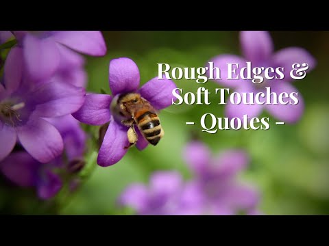 40248 S3 30 Insightful Quotes For Working Hard To Fulfil