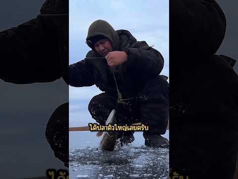 ตกปลาบนพื้นน้ำแข็ง จะได้ปลาไหม?